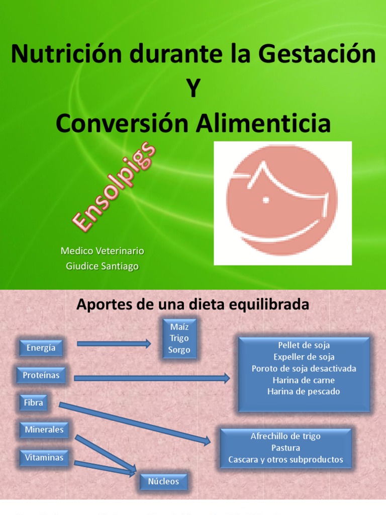 Inta Nutricion en Gestacion y Conversion Alimenticia Giudice Santiago ...