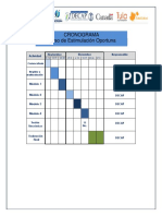 Cronograma Estimulación Oportunaff