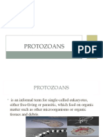 Protozoans WK 8