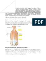 Musculos