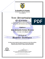 Diploma Carrito