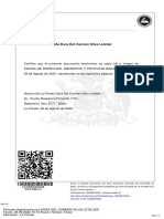 Cesi - N de Derechos, Mandatos y Protocolizaci - N. - Irma Cayo y Otros