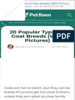 20 Popular Types of Goat Breeds (With Pictures) Pet Keen