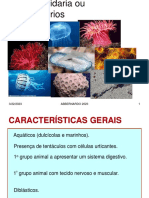 Filo Cnidaria 2023 Partilhar