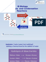 Condensation Hydrolysis2