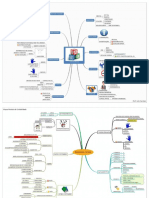 Mapas Mentais Consolidados