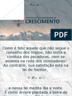 Desenvolvendo A Mentalidade de Crescimento