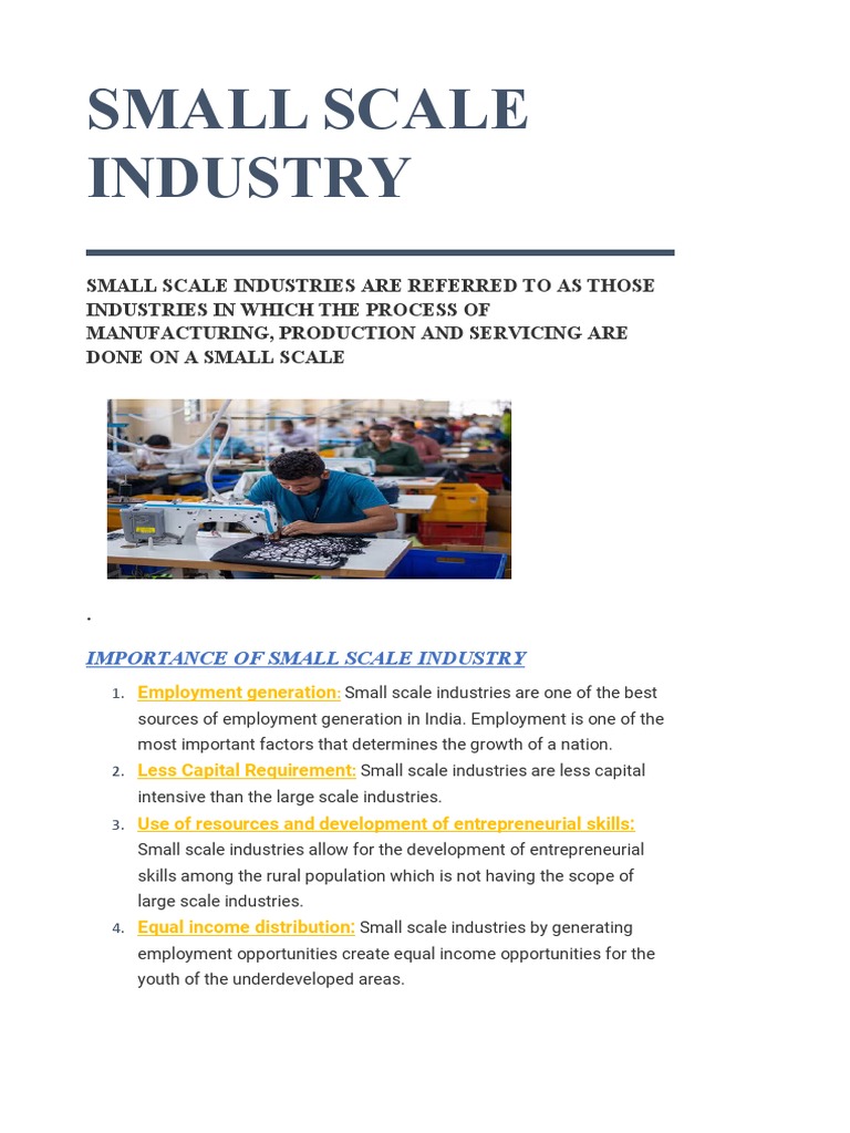 Small Scale Industry Pdf Labour Economics Employment