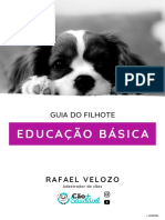 Resumo - Guia Do Filhote