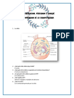 Ventilacion, Perfusion y Choque