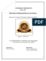 FY Report of Mini PDF