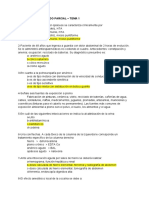 Segundo Parcial - Tema 1