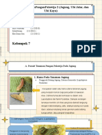 Parasittanamaanpanganpalawija 2 (Jagung, Ubi Jalar, Dan Ubi Kayu)