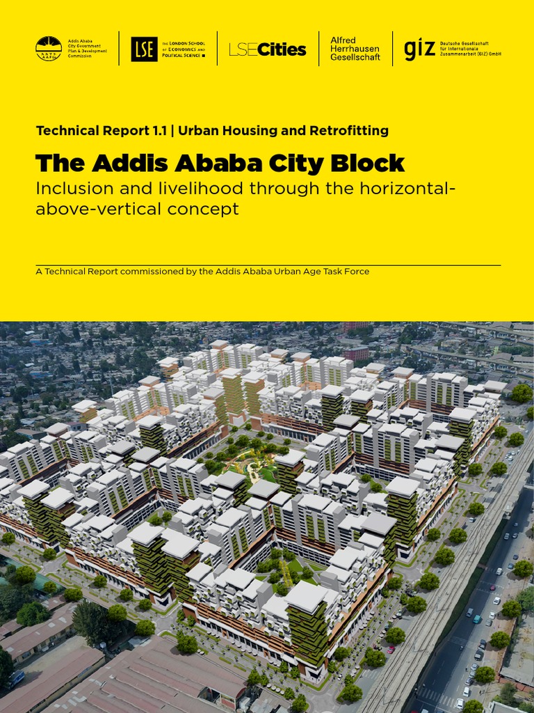 1.1 The Addis Ababa City Block | PDF | Poverty | Poverty & Homelessness