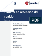 Proceso de Recepcion Del Sonido - Kevin Sanchez