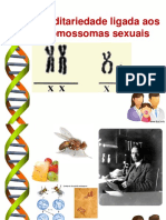 6-  Hereditariedade ligada aos cromossomas sexuais (1)