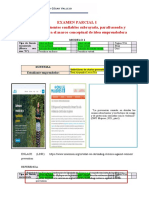 EXAMEN PARCIAL Raul