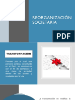 Reorganización Societaria