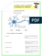 Ficha-Juev-Cyt - Cómo Funcionan Las Neuronas