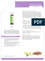 Doterra-Steady Aceite