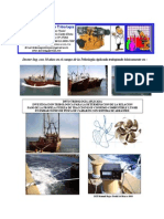 Asistencia Tecnica en Tribologia