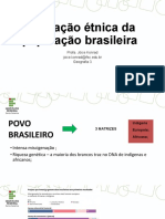 Formação Étnica Da População Brasileira - Indigena