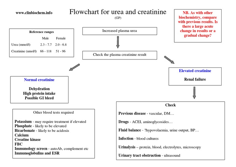 Gpchartureacreatinine | PDF