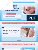 Ppt-Estructura de La Boca Del Bebe