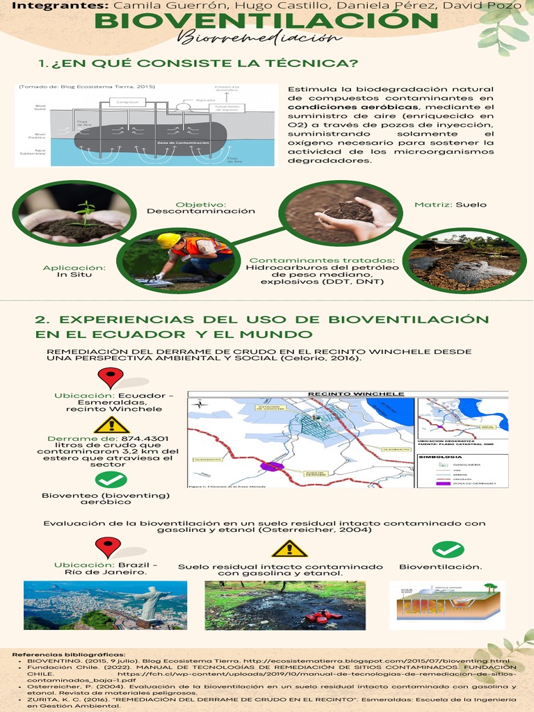 Infografía - Tipos de Biorremediación | PDF | Compost | Contaminación