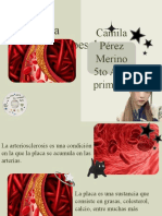 Camila Pérez LA ARTERIOSCLEROSIS