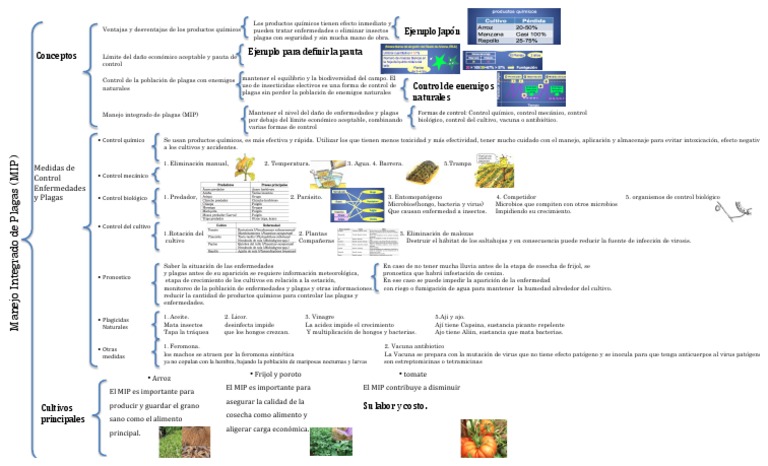 Manejo Integrado de Plagas (MIP) | PDF | Plaga (organismo) | Control ...