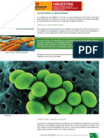 02 030 035 Ciencias Naturales La Celula y Los Reinos de La Naturaleza Las Bacterias El Reino Monera