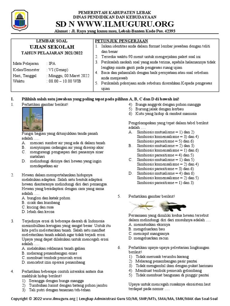 Us Ipa Vi | PDF