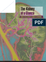 Kidney at A Glance