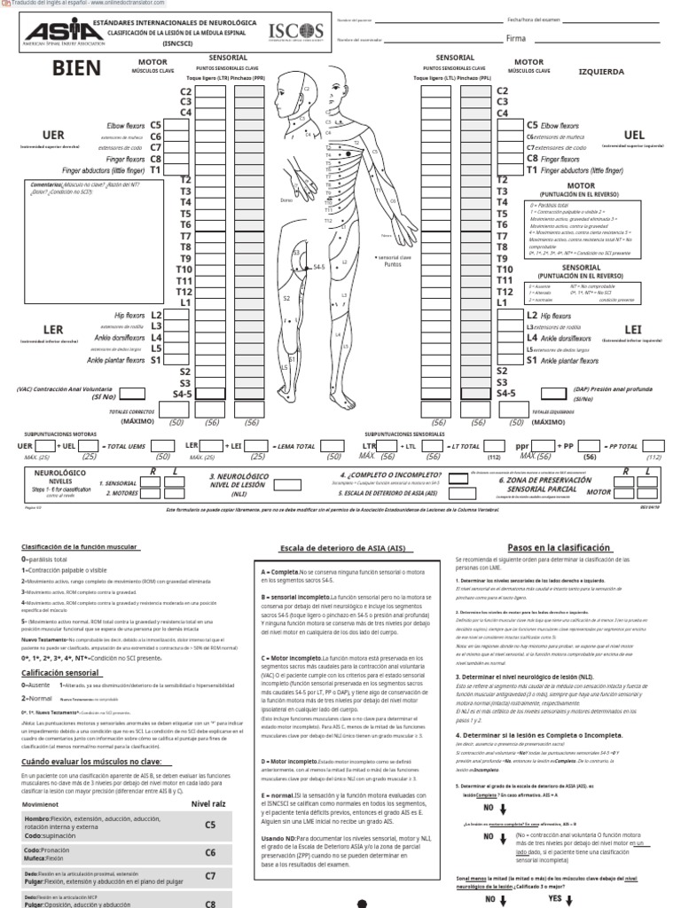 Clasificación de Lesiones Medulares ASIA | PDF