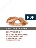 Cultivation of Shiitake Mushrooms