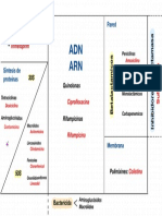 Cuadro Esquema Antibióticos