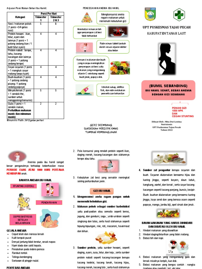 Leaflet Anemia 1 | PDF