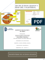 Biosíntesis de Ácidos Grasos y Biosíntesis Del Colesterol.