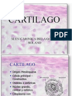 5 Cartilago