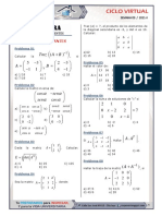 9 Determinantes