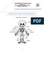 2do Material de Apoyo Ciencias Semana 24 Al 28 de Abril