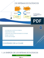 Clase 4 La Energía en Los Sistemas Naturales y Humanos