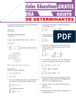 27 Cálculo de Determinantes para Quinto Grado de Secundaria