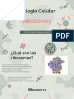 Ribosomas. Biologia Celular
