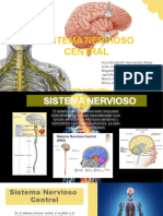 Plantilla de Powerpoint Sistema Nervioso