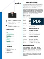 Luis Molina-Cv y Documentos 2023 - 1 - 1