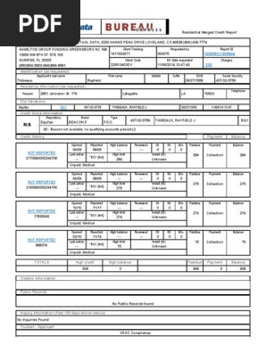 Credit Report