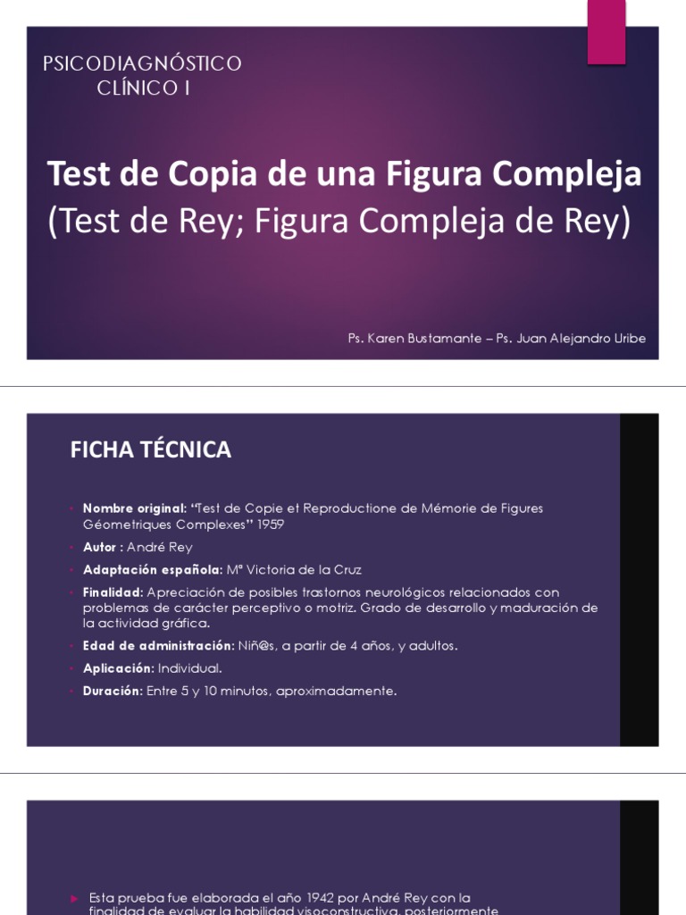 Figura Compleja de Rey 2023 | PDF | Memoria | Rectángulo