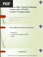 Lec3 GPT 201 Degeneration